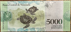 Venezuela - Banco Central De Venezuela - 2017 - 5000 Bol  vares- P 97c