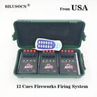 Profession 12 Cue Wireless Fireworks Firing System  Remote Control