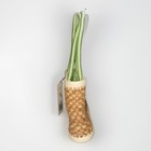 The Sak Tomales Bay Woven Straw Basket Shoulder Bag Chartreuse Green Boho Nwt
