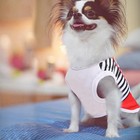 4 Pack Summer Shirts For Small Dogs  Stretchy Mesh Fabric W cute Patterns