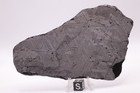 Muonionalusta Etched  Meteorite Full Slice Weight 159 9 Grams 5 25 Inches