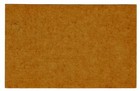Pakistan 5 Paisa Coconut Tree Unused Postcard - Postal Stationery