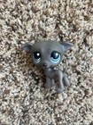 Lps Pet Pairs Great Dane And Fuzzy Dog
