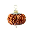 14 Mukhi Rudraksha Original Certified 14 Face Rudraksha Nepal With Pendant 21mm