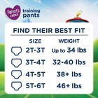 Paw Patrol Training Diapers For Boys  6t-7t  46 Count-  19 99 one Box