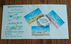 Very Rare Iraq 1965  only 11 Known  Privately Design  iraq Airways - New Jet 