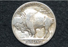 1920 P Buffalo Nickel   Vf    Full Date   1 2 Horn   Free Shipping