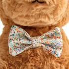 Fao Schwarz 12  Tan Dog  mutt  With Bunny Ears Toy Plush Bow Tie New