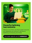 Webroot Antivirus Protection  3 Devices   1 Year Subscription   digital 