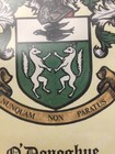 0 donoghue Family Crest Matted Latin Motto Sealed Vintage 1980s
