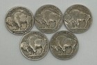 Lot Of 5 Buffalo   Indian Head Nickel Coins With Full Dates  Old Us Coins 