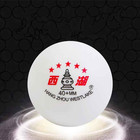 10-100pcs Professional 5-star Table Tennis Balls 40  Abs Ping Pong Training