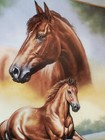 Franklin Mint Thoroughbred Portrait Of A Champion Limited Fine Porcelain Horse