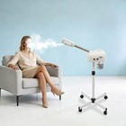 110v Beauty Salon Facial Steam Sauna Beauty Equipment Skin Care Ozone Machine