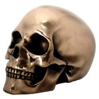 Bronze Color Skull Head Figurine Skeleton Halloween Gothic Decoration New