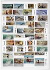 Us 1978-2000 Wisconsin State Duck   Turkey Hunting Collection Of 100  Stamps