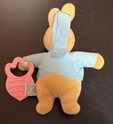 Eden Beatrix Potter Peter Rabbit Baby Plush Stuffed Bunny Pink Carrot Teether