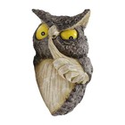 Owl Figurine Realistic Artwork Resin Ornament For Backyard Study Room Lawn