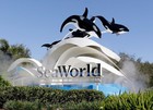 Sea World Entry  Tickets  Best Deals