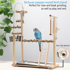 Bird Playground Parrot Playstand Bird Perch Stand Gym Natural Wood Play Stand 