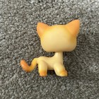 J Rare Littlest Pet Shop Brooklyn Hayes Brooke Short Haired Cat Figure Authentic