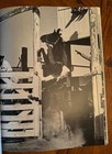 Rodeo By Louise L  Serpa Large Photo Book