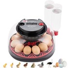 12 Egg Incubator With Auto Turn   Humidity Control 360   View Poultry Hatcher