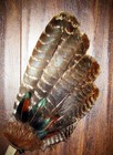 Native American Bronzed Weathered Turkey Smudge Fan Ceremonial