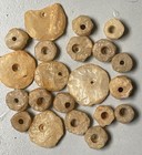 Lot Of 4 Neolithic 8 000 Year Old Quartz Beads Worn By Stone Age People With Coa