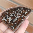 28g Sericho Pallasite Meteorite Slice From Kenya