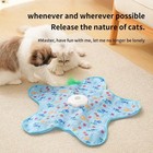New Rechargeable Interactive Feather Toy Hide Seek Fun Auto Motion Cat Kitten