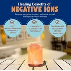 Tulip Shape Himalayan Pink Salt Lamp   Hand-carved Rock Salt Flower Lamp   Na   