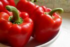 Big Red Sweet Bell Pepper  Non-gmo  Heirloom  Variety Sizes  Free Shipping