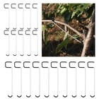Juego De 20 Esparcidores De Ramas De   rbol - Extractor De Ramas De   rboles
