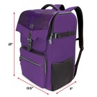 Enhance Collectors Edition Dnd Backpack - Dm Bag  Fits 6-8 Books  dragon Purple 