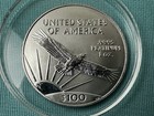 2002 American Eagle 1 Oz Platinum Uncirculated  100 Coin
