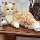 Ageless Innovation Joy For All Orange Tabby Cat Companion Pet A7592 2019