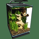 Led Aquarium Kit Hidden Filtration 5 Gallon Clear Glass Fish Tank System New