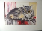 Framed Water Color Tabby Cat Print Signed