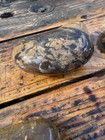 Jasper Rough Lapidary Gorgeous