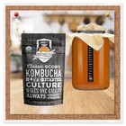 Essentials Kit - Classic Kombucha  Organic