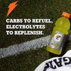 Gatorade Thirst Quencher  Grape Berry  Strawberry Variety Pack  12 Fl Oz  pack O
