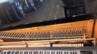 Young Chen Professional Upright Piano