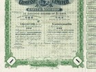 South Africa Buffelsdoorn Estate   Gold Mining Company Stock Certificate bond