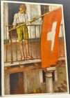 1931 Swiss Federal Celebration  bundesfeier  Postcard Lz 127 Graf Zeppelin Polar
