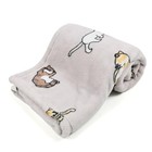 Cat Throw Blanket For Cat Lovers grey - 30x40 Inch - 30 X 40 Inches Grey Cat