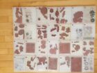 Stampin  Up  Stamp Sets  You Choose  Discount On Multiples 