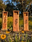 Screech Owl Nest Box  Live Edge Cedar Wood  Owl Art  Handmade  Owl House