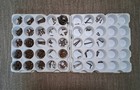 Lot Antique Slot Wood Screws  40 Asst  3 8  - 1    1 4   Flat  round Heads  Rust