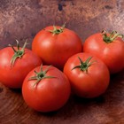 Abe Lincoln Tomato  30  Heirloom   Non-gmo   Organic   Fl Grown